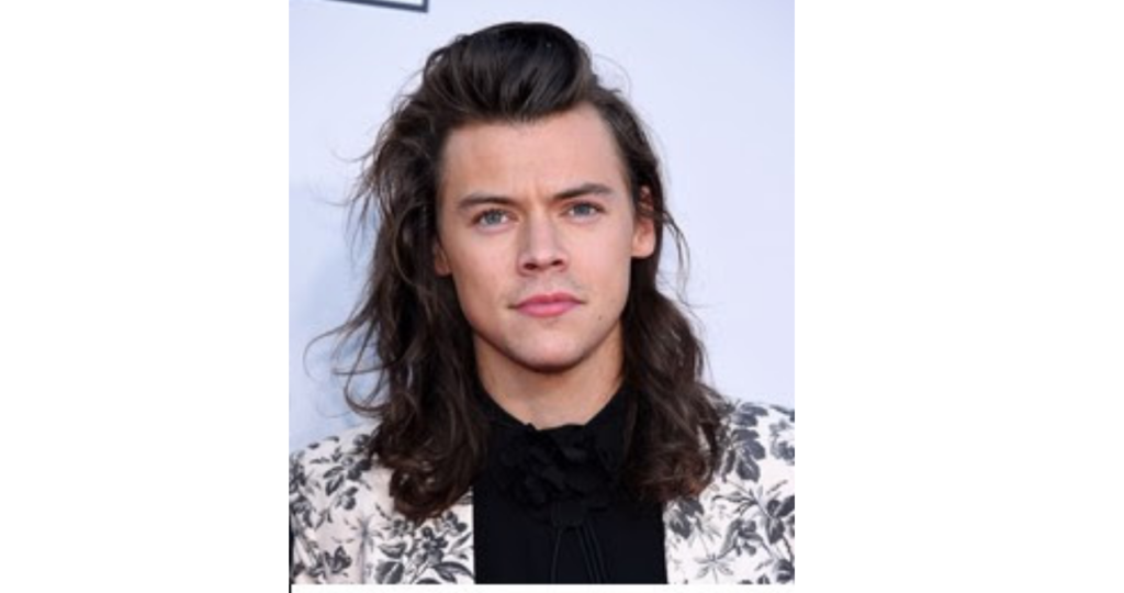 Facts About Harry Styles