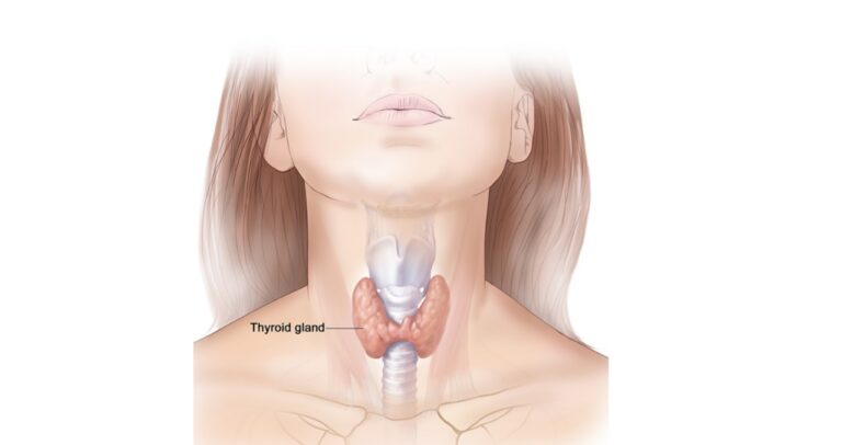 The Link between Thyroid Symptoms and Overall Health